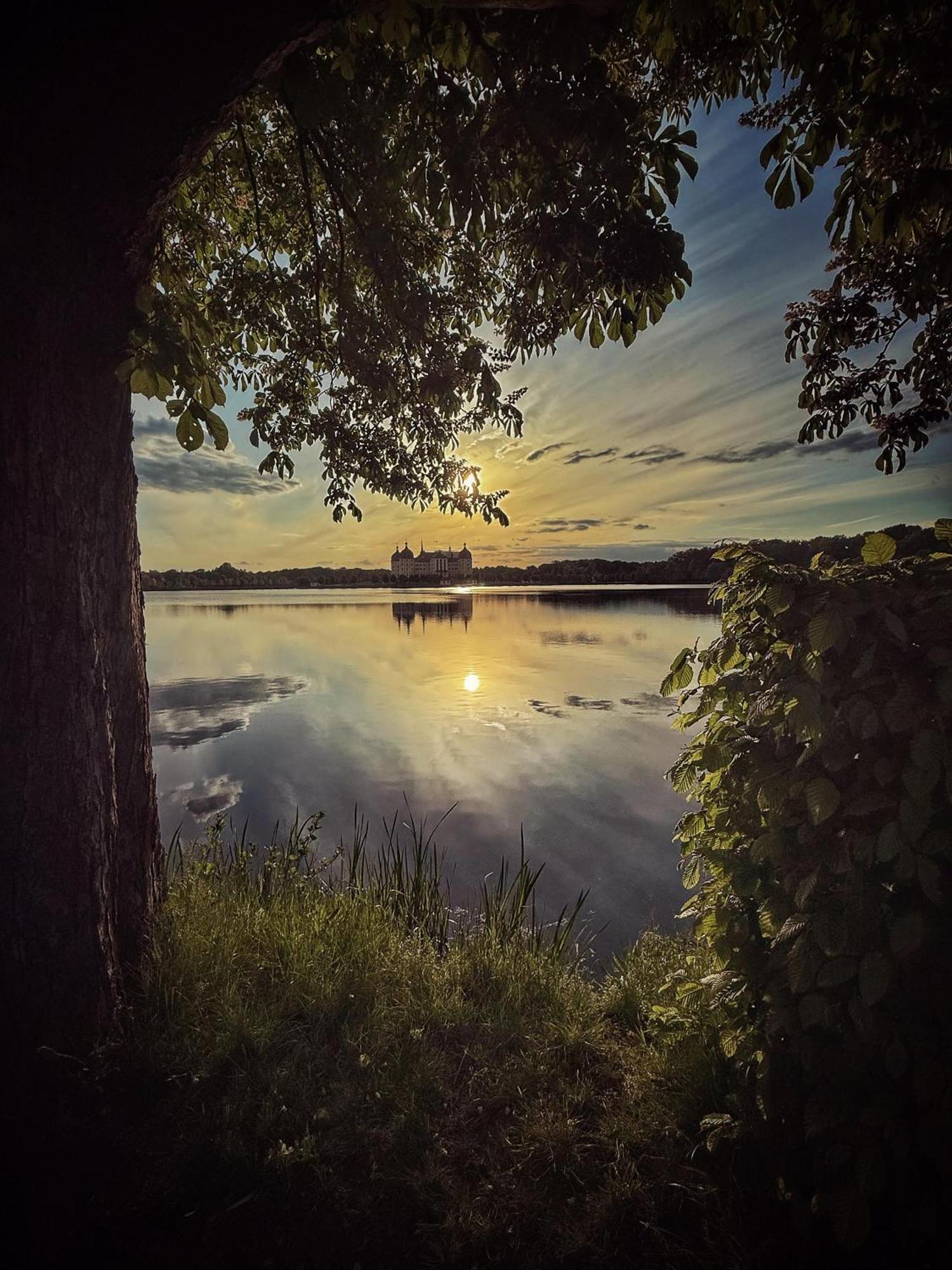 Churfuerstliche Waldschaenke Moritzburg Exteriör bild